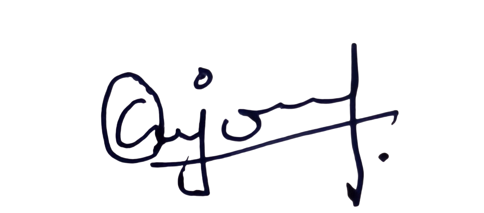 Signature